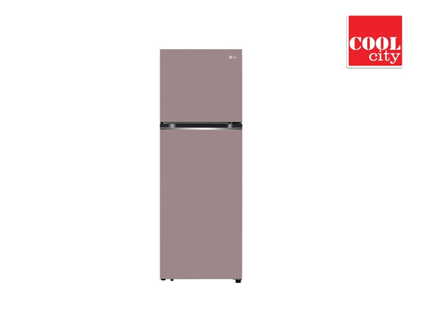 2-Door Macaron Series Refrigerator GN-X332PPGB